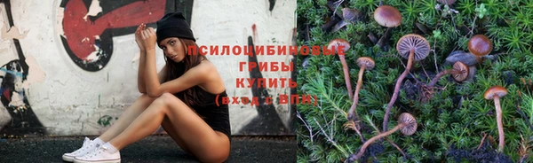 меф Зерноград