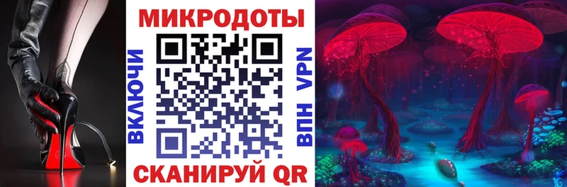 Купить где  Пестово  Псилоцибиновые грибы Cubensis 