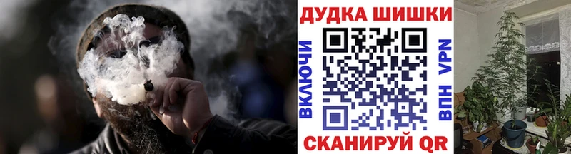 Конопля план  Купить где  Пестово 
